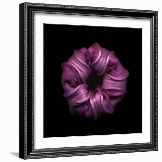 Darkness E3 - Purple Morning Glory Bud-Doris Mitsch-Framed Photographic Print