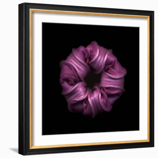 Darkness E3 - Purple Morning Glory Bud-Doris Mitsch-Framed Photographic Print