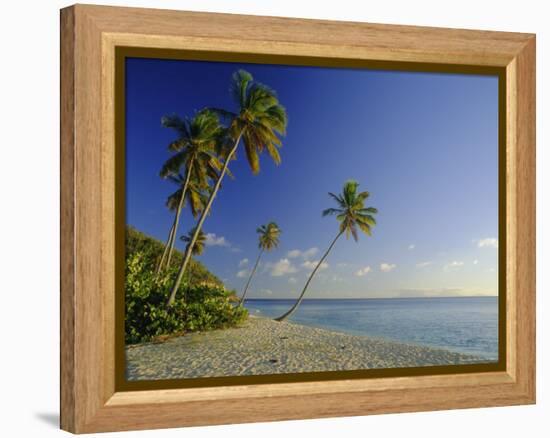 Darkwood Beach, Antigua, Caribbean, West Indies-John Miller-Framed Premier Image Canvas