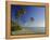 Darkwood Beach, Antigua, Caribbean, West Indies-John Miller-Framed Premier Image Canvas