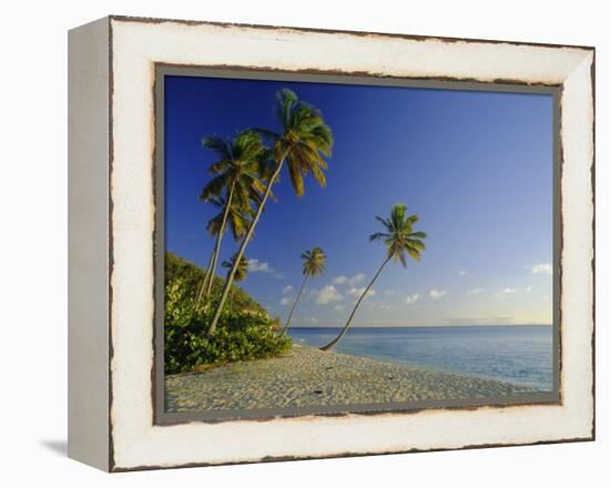 Darkwood Beach, Antigua, Caribbean, West Indies-John Miller-Framed Premier Image Canvas