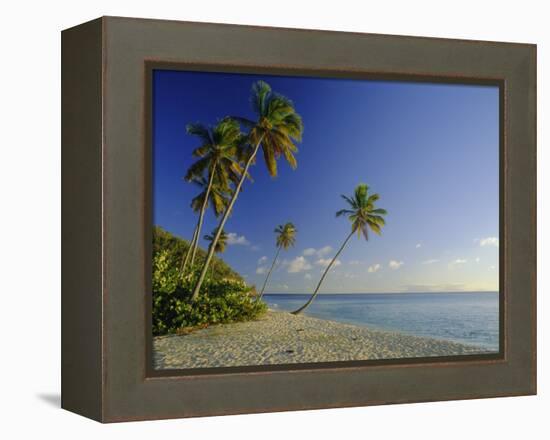 Darkwood Beach, Antigua, Caribbean, West Indies-John Miller-Framed Premier Image Canvas