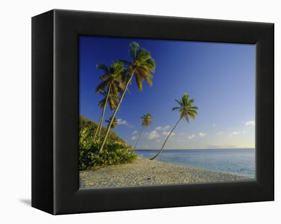Darkwood Beach, Antigua, Caribbean, West Indies-John Miller-Framed Premier Image Canvas