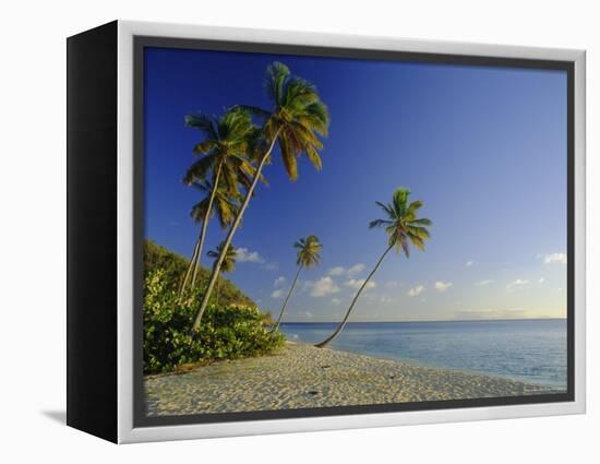 Darkwood Beach, Antigua, Caribbean, West Indies-John Miller-Framed Premier Image Canvas