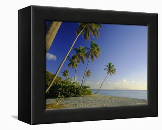 Darkwood Beach, Antigua, Caribbean, West Indies-John Miller-Framed Premier Image Canvas