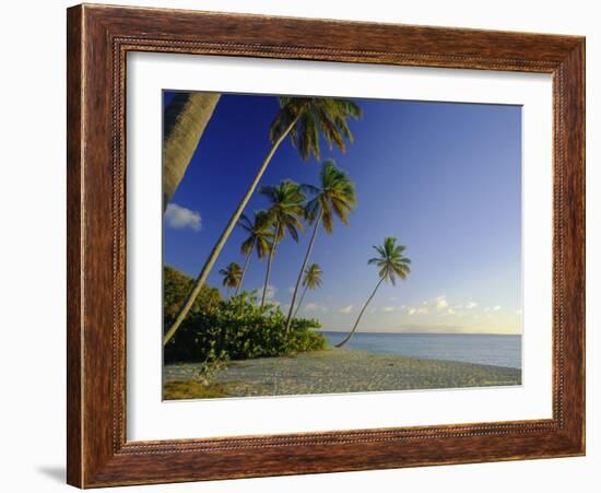 Darkwood Beach, Antigua, Caribbean, West Indies-John Miller-Framed Photographic Print