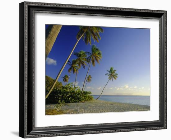 Darkwood Beach, Antigua, Caribbean, West Indies-John Miller-Framed Photographic Print