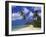 Darkwood Beach, Antigua, Leeward Islands, Caribbean, West Indies, Central America-John Miller-Framed Photographic Print