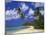 Darkwood Beach, Antigua, Leeward Islands, Caribbean, West Indies, Central America-John Miller-Mounted Photographic Print