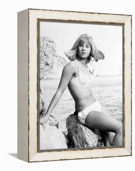 Darling, 1965-null-Framed Premier Image Canvas