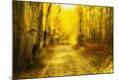 Photographic Print