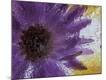 Premium Photographic Print