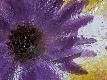 Premium Photographic Print