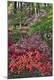Premium Photographic Print
