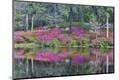 Premium Photographic Print