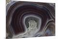 Premium Photographic Print