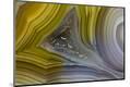 Premium Photographic Print