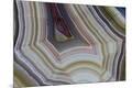 Premium Photographic Print