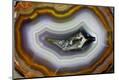 Premium Photographic Print