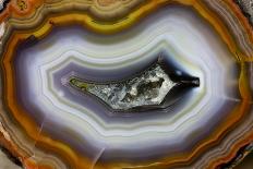 Condor Agate with Fortifcations-Darrell Gulin-Photographic Print