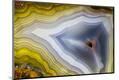 Premium Photographic Print