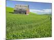 Premium Photographic Print