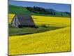 Premium Photographic Print