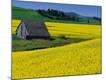 Premium Photographic Print