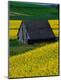 Premium Photographic Print