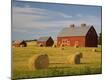 Photographic Print