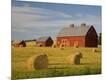 Photographic Print