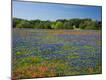 Premium Photographic Print