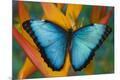 Premium Photographic Print