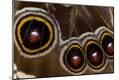 Premium Photographic Print