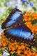 Premium Photographic Print