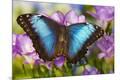 Premium Photographic Print