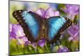 Premium Photographic Print