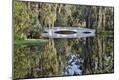 Premium Photographic Print