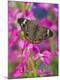 Premium Photographic Print