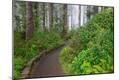 Photographic Print