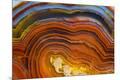 Premium Photographic Print