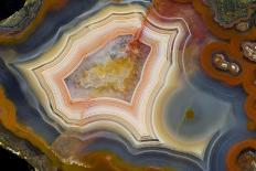 Condor Agate with Fortifcations-Darrell Gulin-Photographic Print
