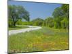 Premium Photographic Print