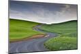 Photographic Print