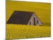 Premium Photographic Print