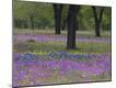 Premium Photographic Print