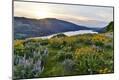 Premium Photographic Print