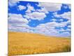 Photographic Print