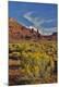 Premium Photographic Print