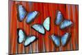 Photographic Print